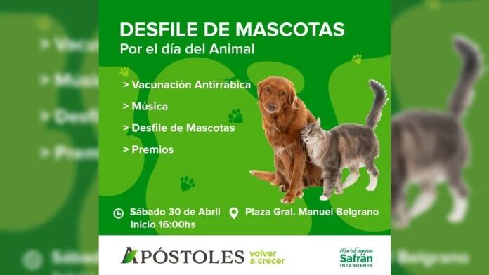 Por el Día del Animal, organizan desfile de mascotas en Apóstoles.