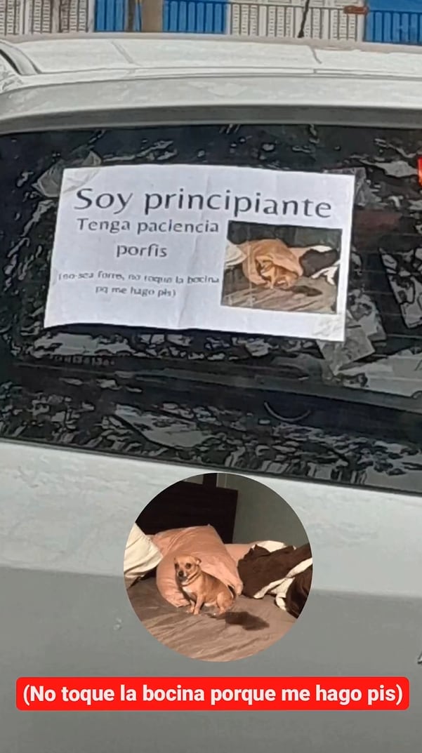 Hizo un cartel y se hizo viral