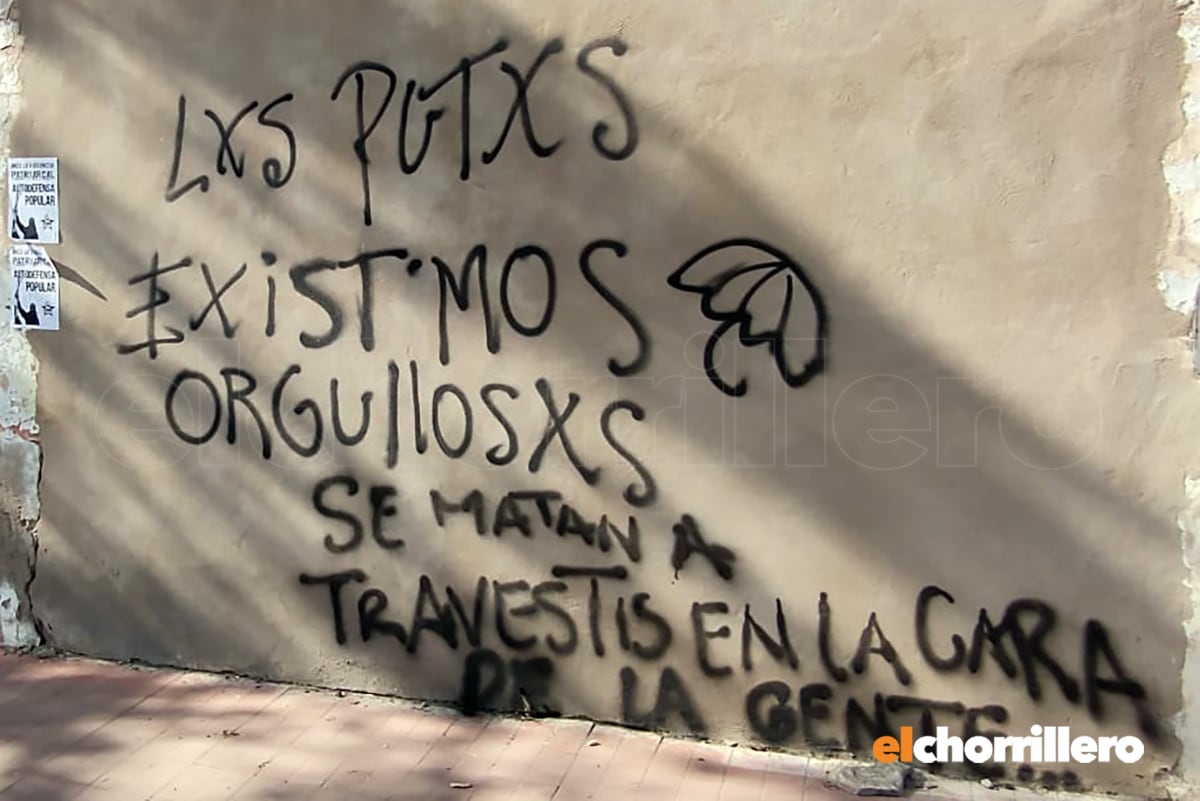 Pintadas en San Luis durante la marcha en el Encuentro Plurinacional de Mujeres.