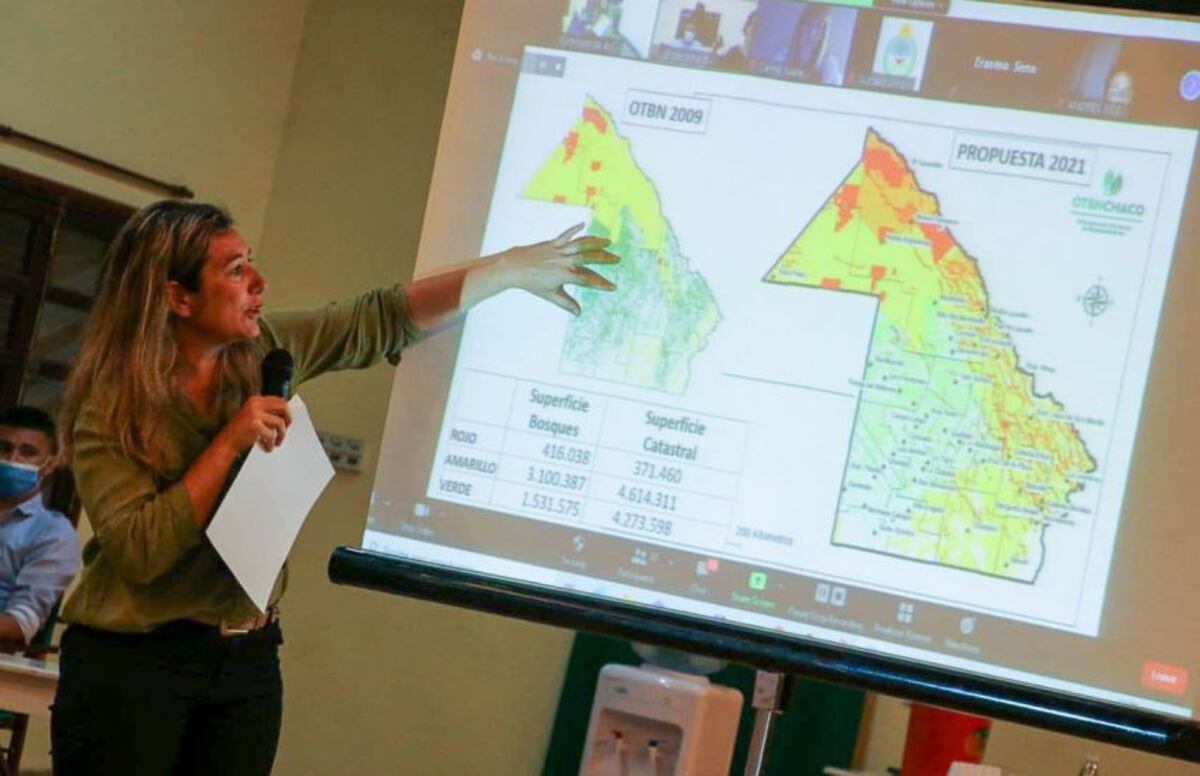 Ordenamiento Territorial de Bosques Nativos: Chaco se aproxima a la concreción del proyecto