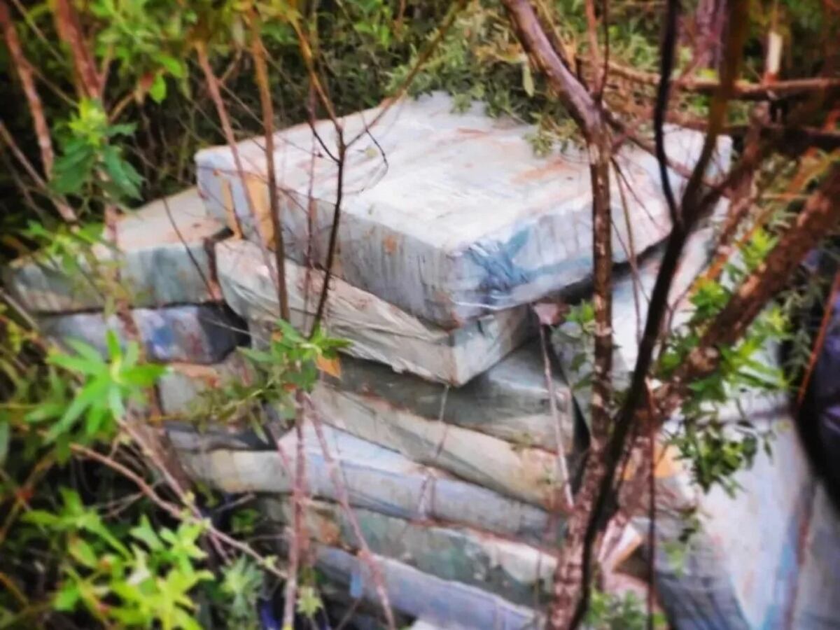 Desmantelan punto de acopio de drogas en San Vicente: 605 ladrillos de marihuana incautados