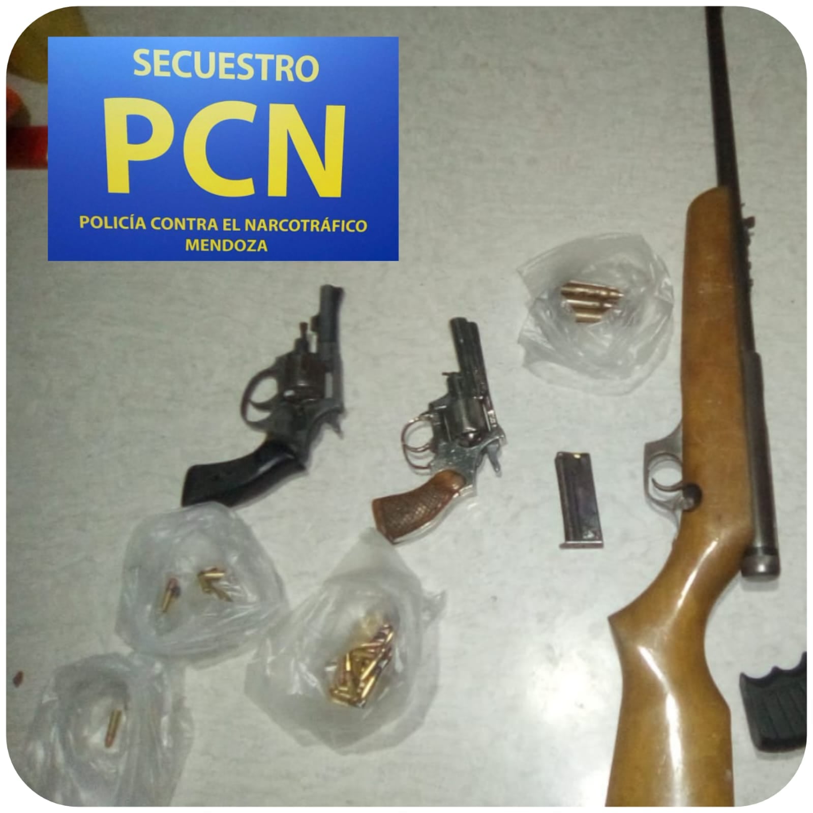 Las armas secuestradas durante el procedimiento.