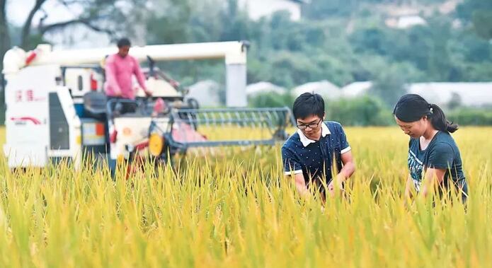 Ola de calor en China afecta producción