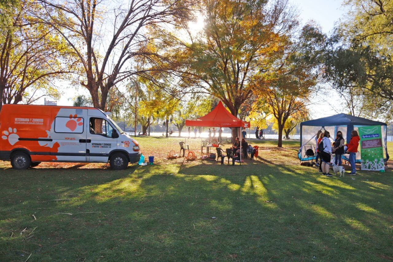 En la costanera de Villa Carlos Paz, a la vera del lago San Roque: jornada de "adopción responsable".