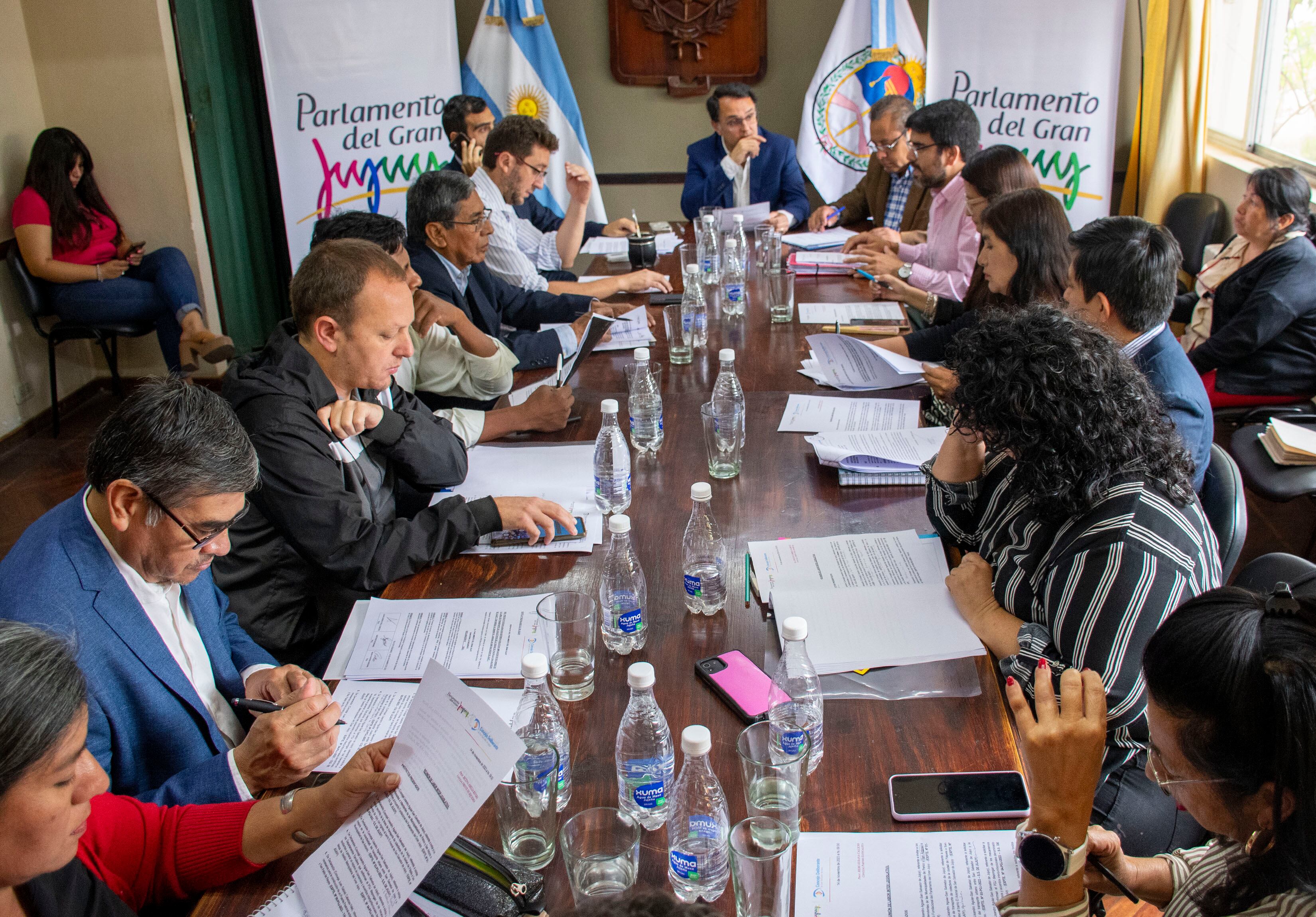 El concejal Lisandro Aguiar (al centro) encabezó el encuentro en la sala de reuniones del Deliberante capitalino.