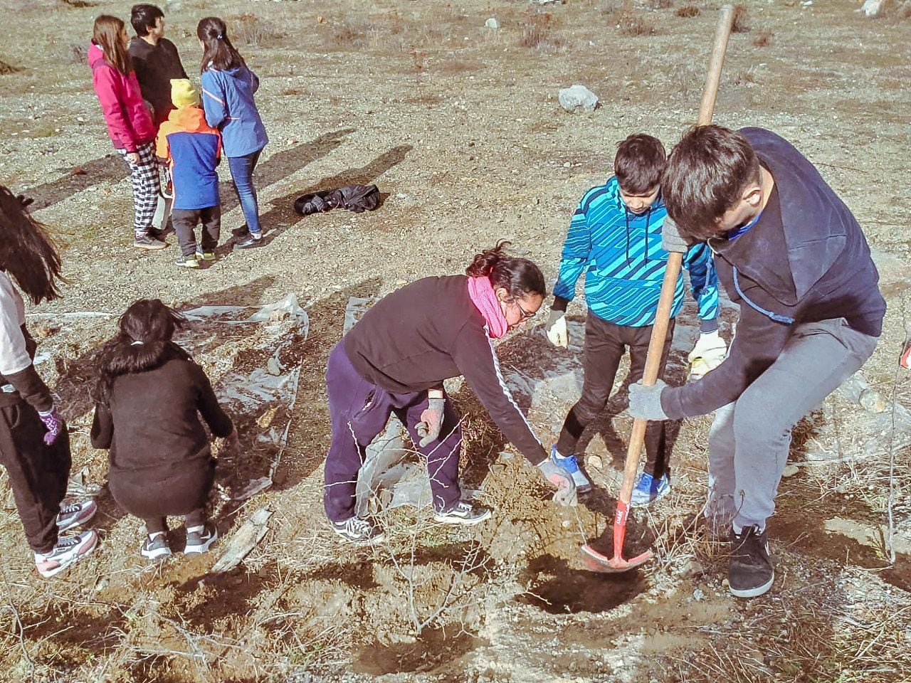 Secretaría de Ambiente avanza en el proceso de restauración de las 13 hectáreas que hoy se encuentran dentro de la Reserva Provincial Río Valdez.