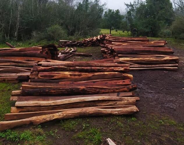 Incautan madera nativa en Cerro Corá.