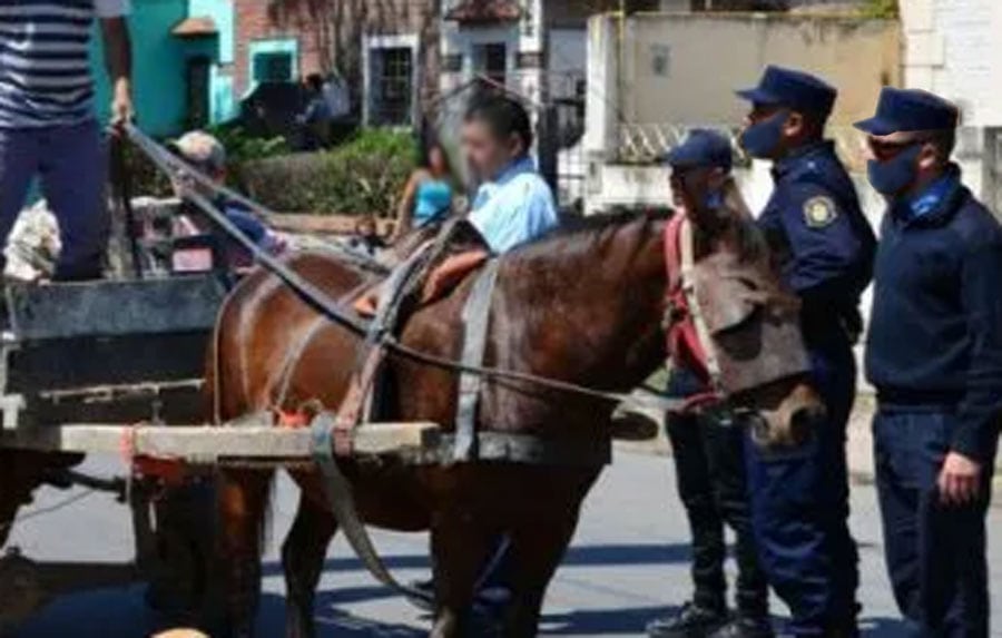 Un cartonero pidió entrar al baño y robó al dueño de casa.