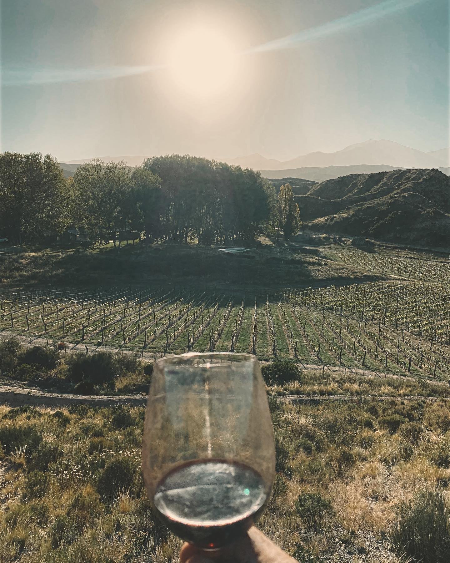 Cachete Sierra disfruta de Mendoza y sus amigos.