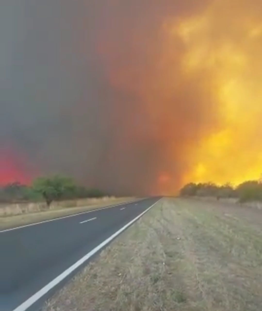 Incendios en el Norte de San Luis