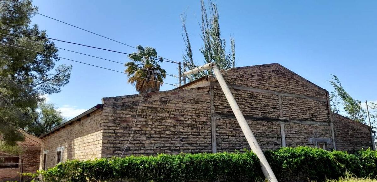 El viento en General Alvear dejó a su paso gran cantidad de árboles y redes del servicio eléctrico por el piso
