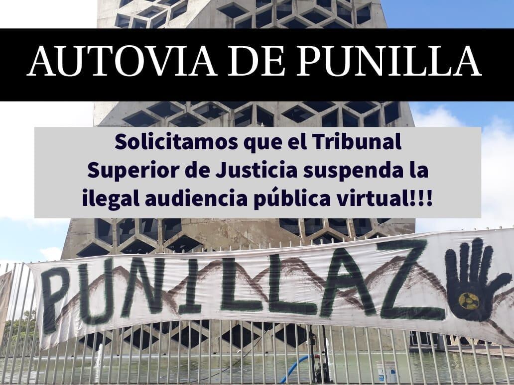 Reclamo de los ambientalistas ante el Tribunal Superior de Justicia.