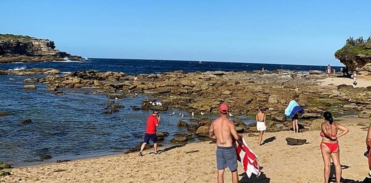 Australia: un nadador fue devorado por un tiburón y todo fue grabado por testigos