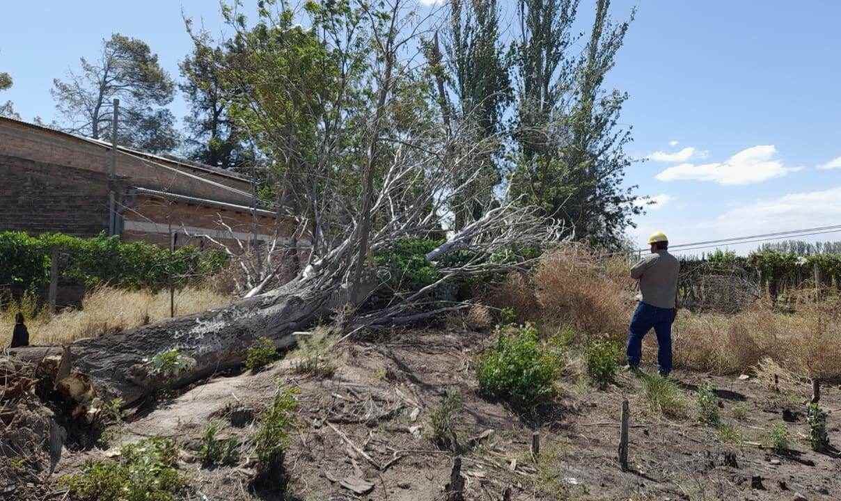 El viento provocó grandes inconvenientes en General Alvear.