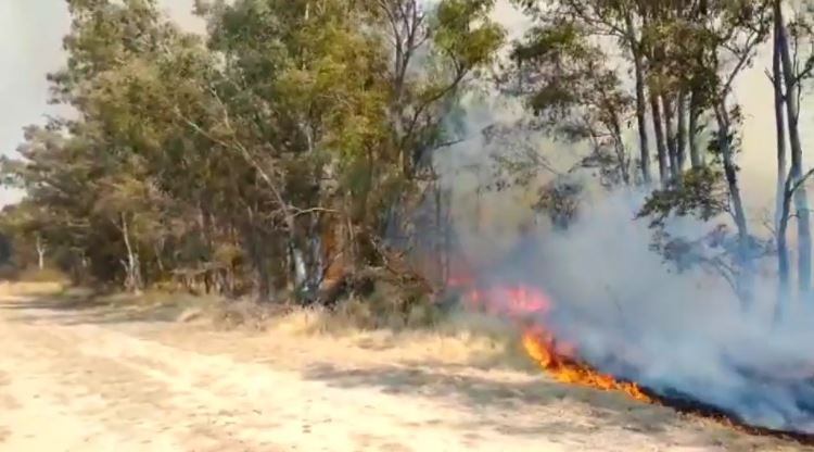 Incendio al norte de Arroyito