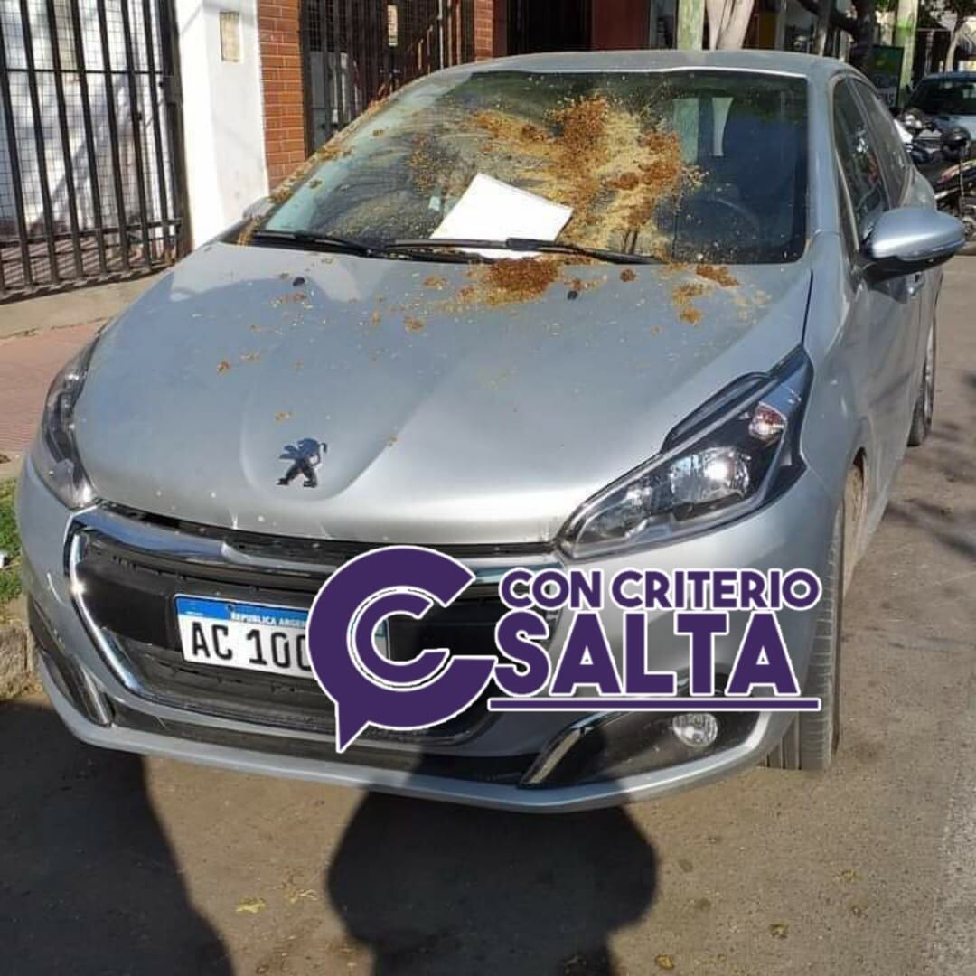 Un hombre le dejó “un regalito” en el capó del auto de un vecino por haber estacionado mal