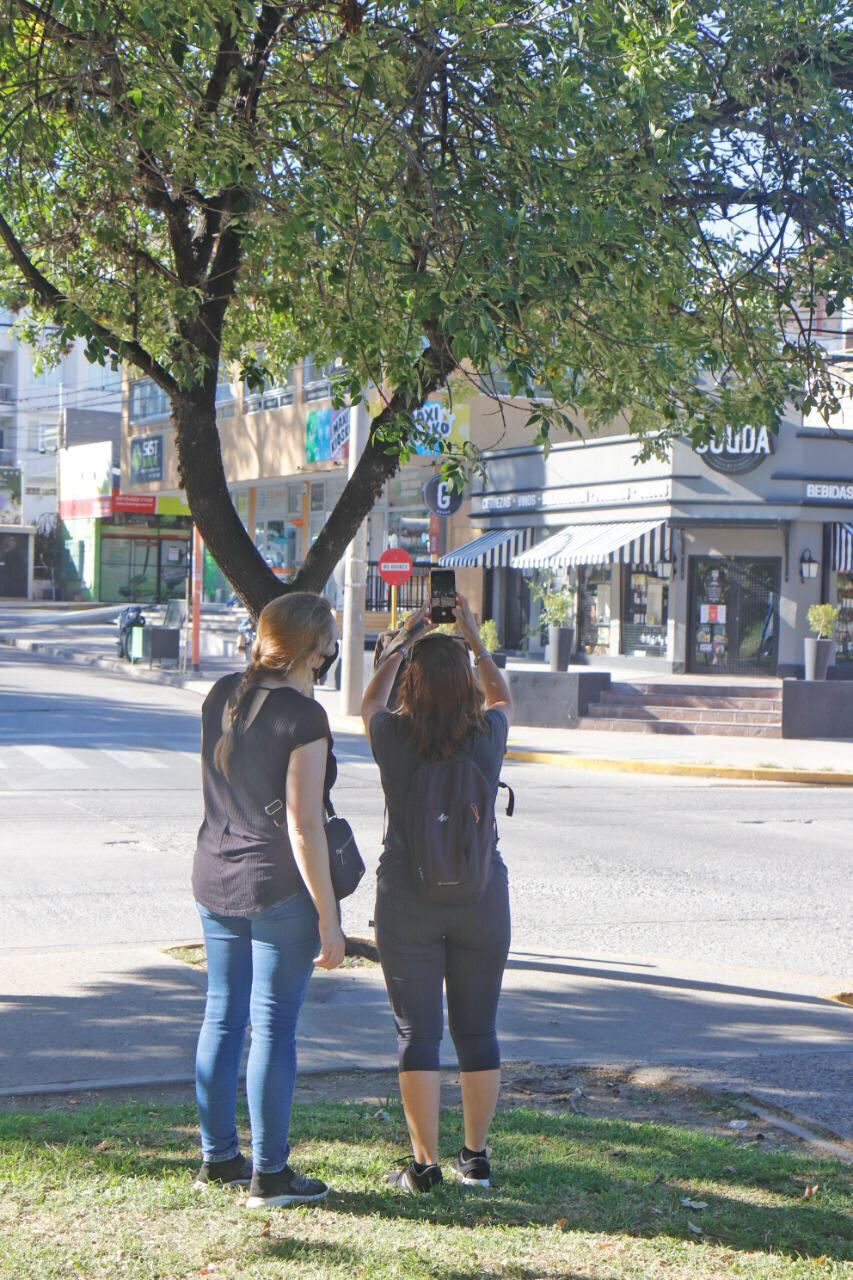 Desde el Municipio, promueven el uso de la aplicación "Pando".