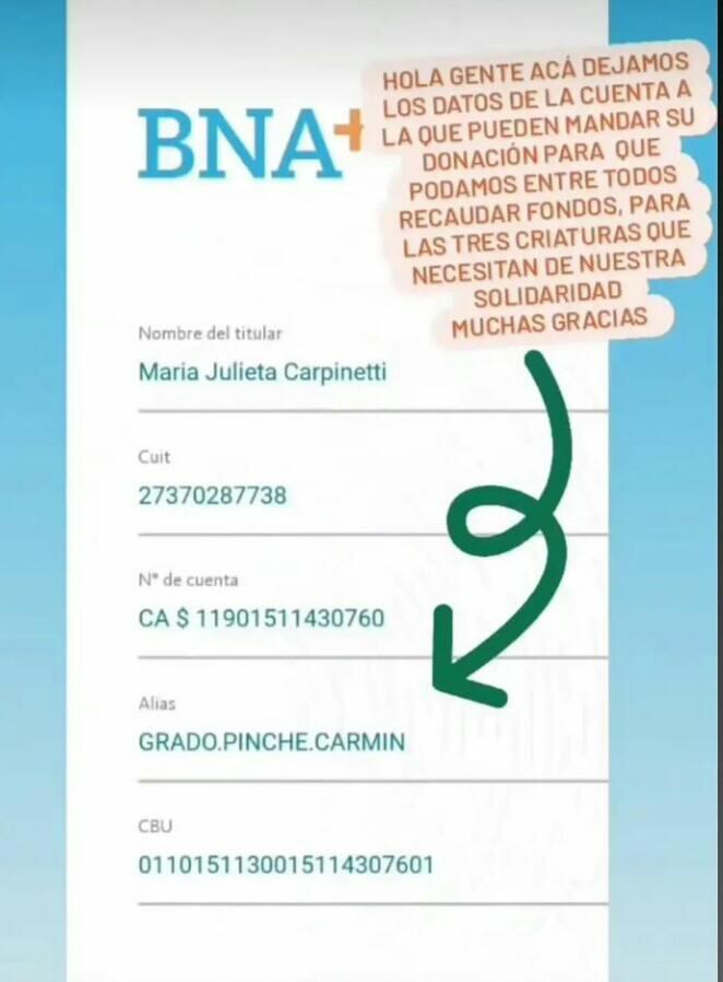 Los datos de la cuenta bancaria a la que se puede donar