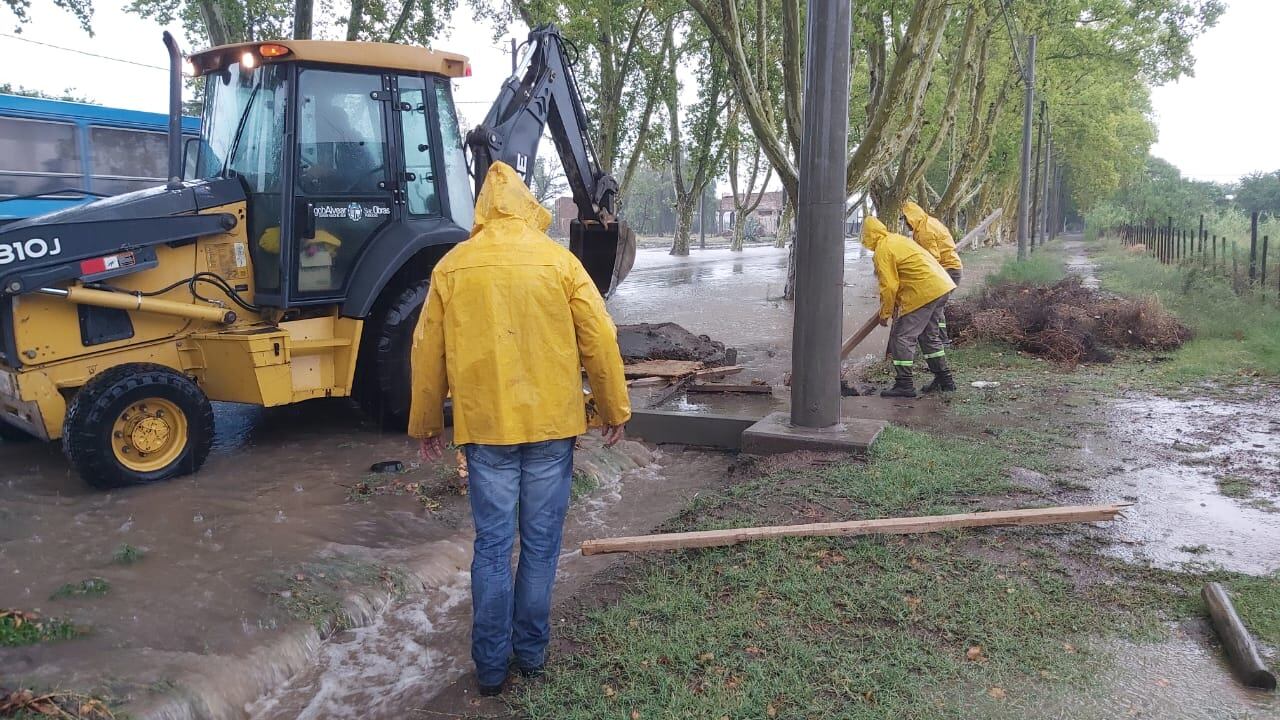 En 24 horas precipitaron más de 60 mm en el territorio alvearense. Gentileza 