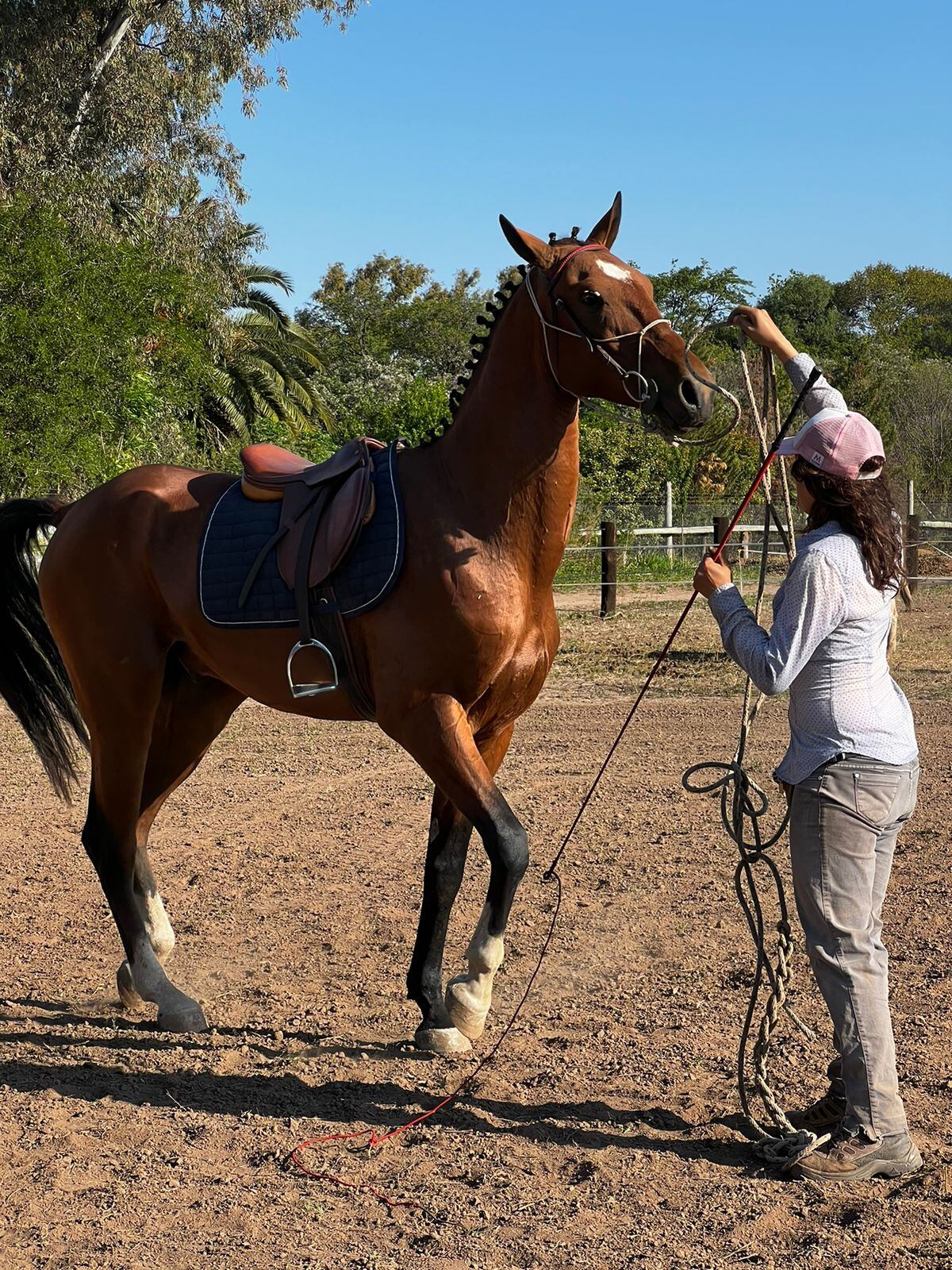 Pampero (Akhal Teke) trabajando con Lucia