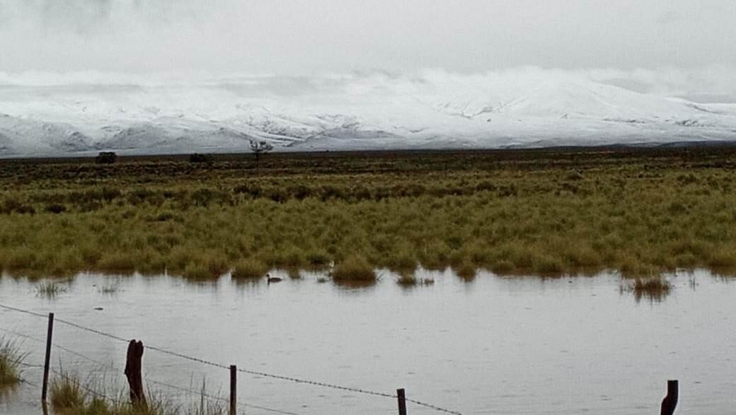 La fauna del sitio protegido "Laguna de los Pozuelos" está habituada a las bajas temperaturas, por lo que no se ve afectada ante la caída de nieve que modifica notoriamente el paisaje del atractivo turístico.