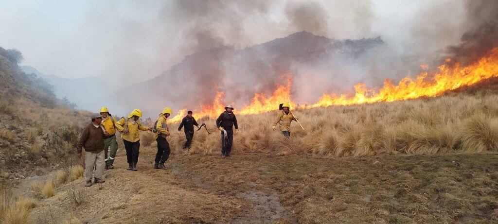 Nuevo incendio en Valle Fértil, San Juan.