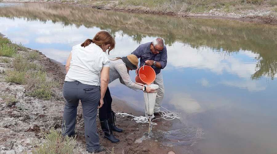 Se tomaron muestras para determinar el oxígeno disuelto, y muestras de zooplancton y fitoplancton 