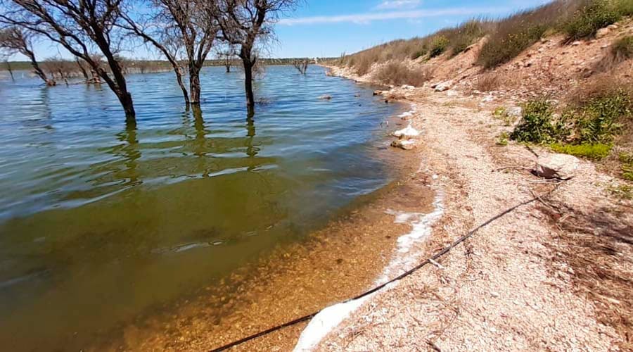 Mortandad de camarones en el Bajo Giuliani, el pasado octubre 