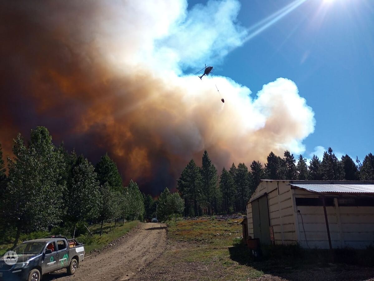 Preocupación por los incendios en Aluminé: ya se consumieron 400 hectáreas