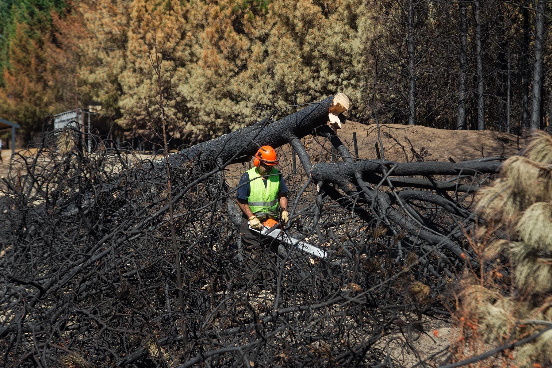 El relato de las familias que reconstruyen sus vidas después del incendio en la Comarca Andina. Foto Marcelo Martinez.