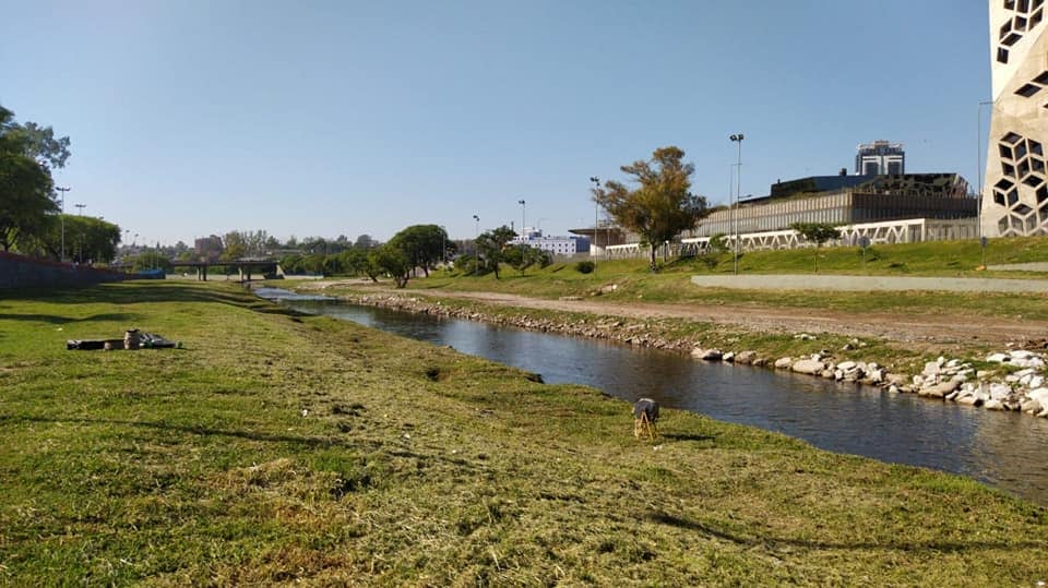 El afluente ubicado en pleno centro de la ciudad de Córdoba y donde trabajaron los equipos de las instituciones participantes.