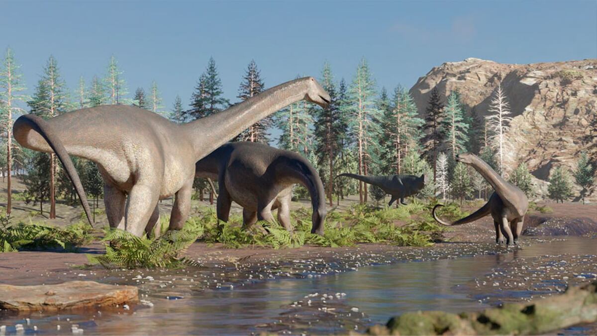 Sorprendente hallazgo en Neuquén: encontraron restos fósiles de una nueva especie de dinosaurio herbívoro