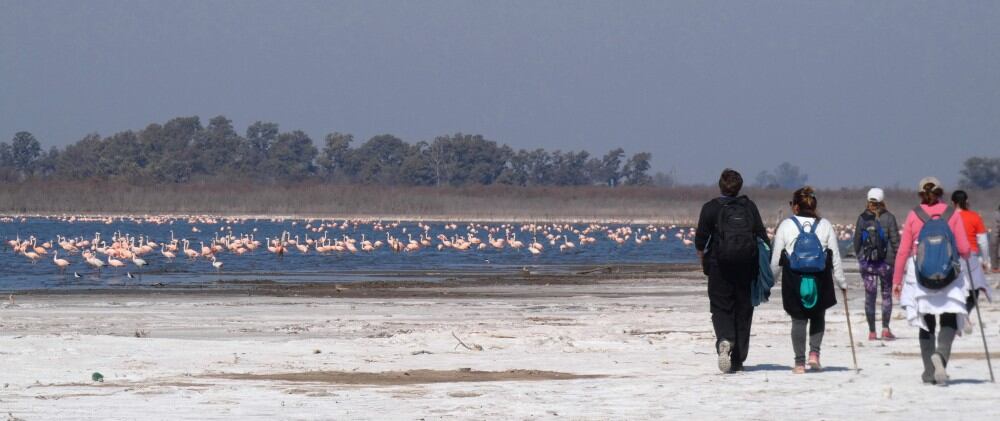 Al igual que en Miramar de Ansenuza, el avistaje de flamencos es uno de los atractivos más privilegiados.