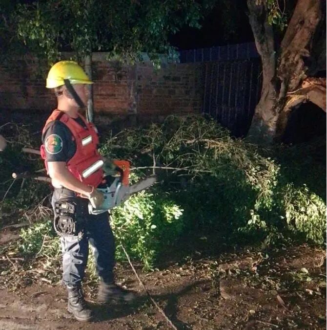 La caída de ramas y árboles provocó la interrupción del servicio eléctrico y el corte de calles en Libertador General San Martín.