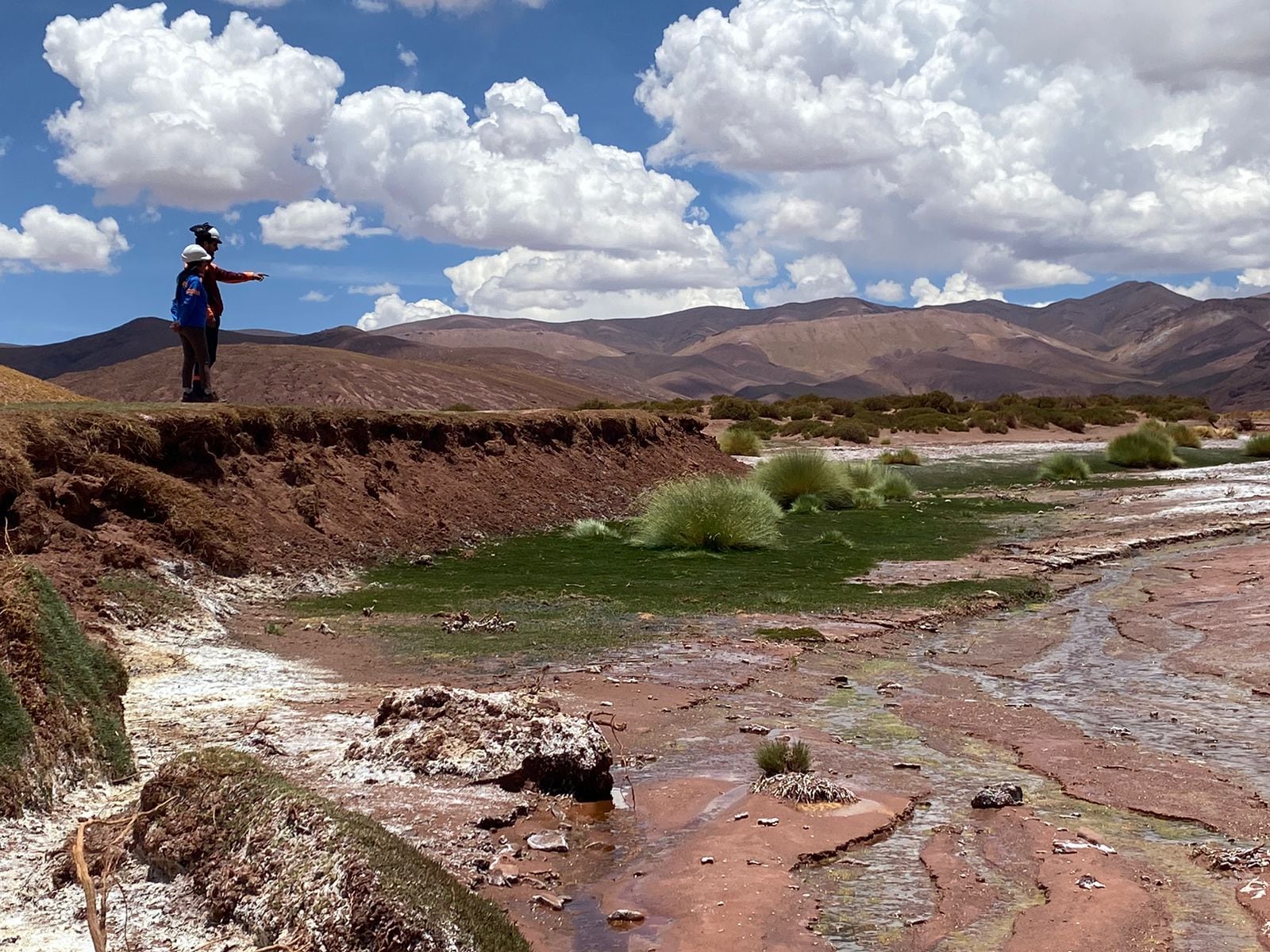 "Este trabajo de monitoreo ambiental refleja el compromiso con el que la empresa opera en materia de preservación de la biodiversidad", dijeron voceros de Exar.