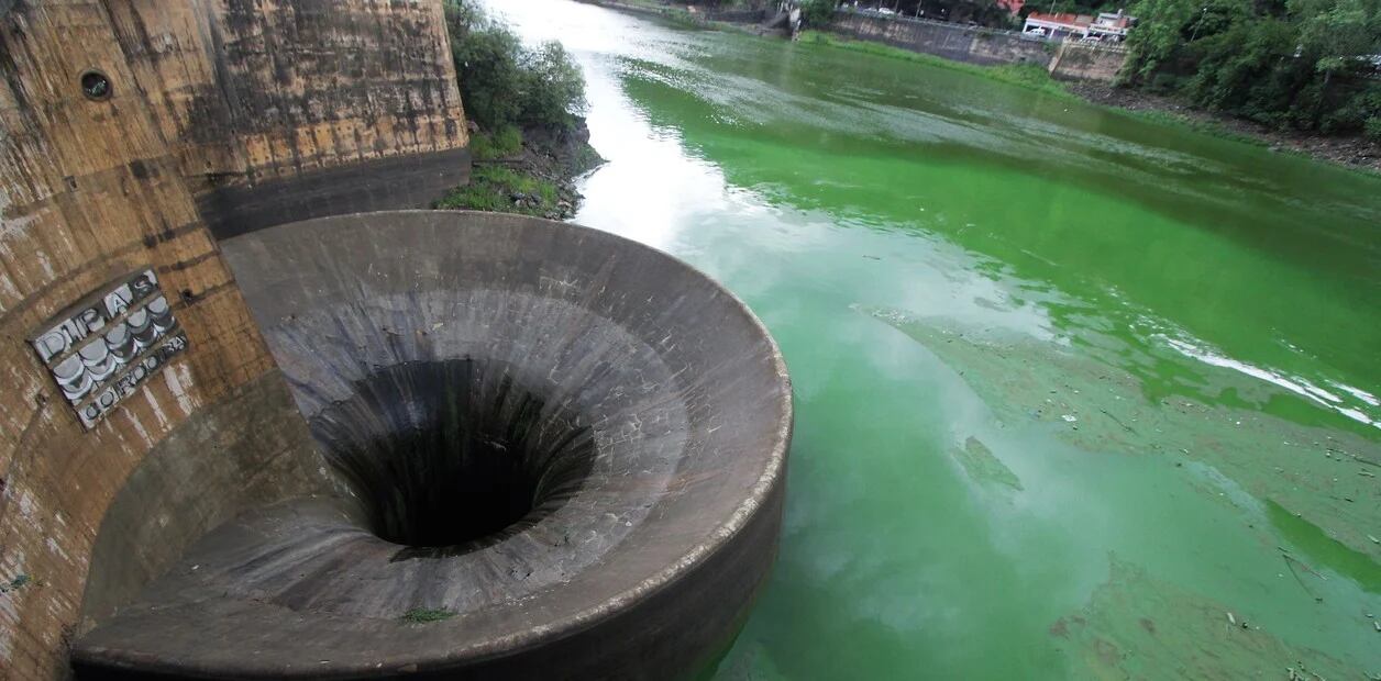 Contaminación en el Lago San Roque.