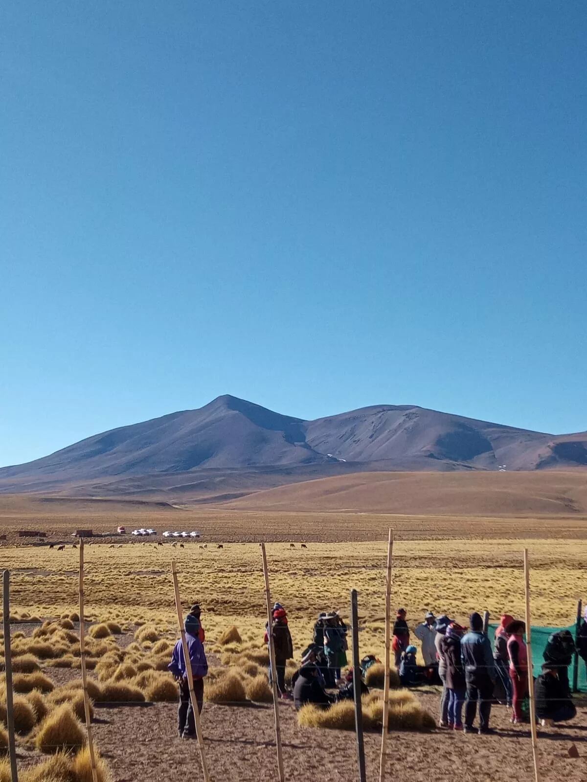 "Se apunta a sostener esta práctica cultural y productiva ancestral con el aprovechamiento sostenible de este recurso natural de la biodiversidad y el desarrollo de las economías locales", explicó Zenón.