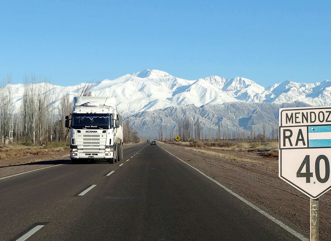 Dos hombres fueron detenidos en la Ruta 40 por faenar un avestruz.