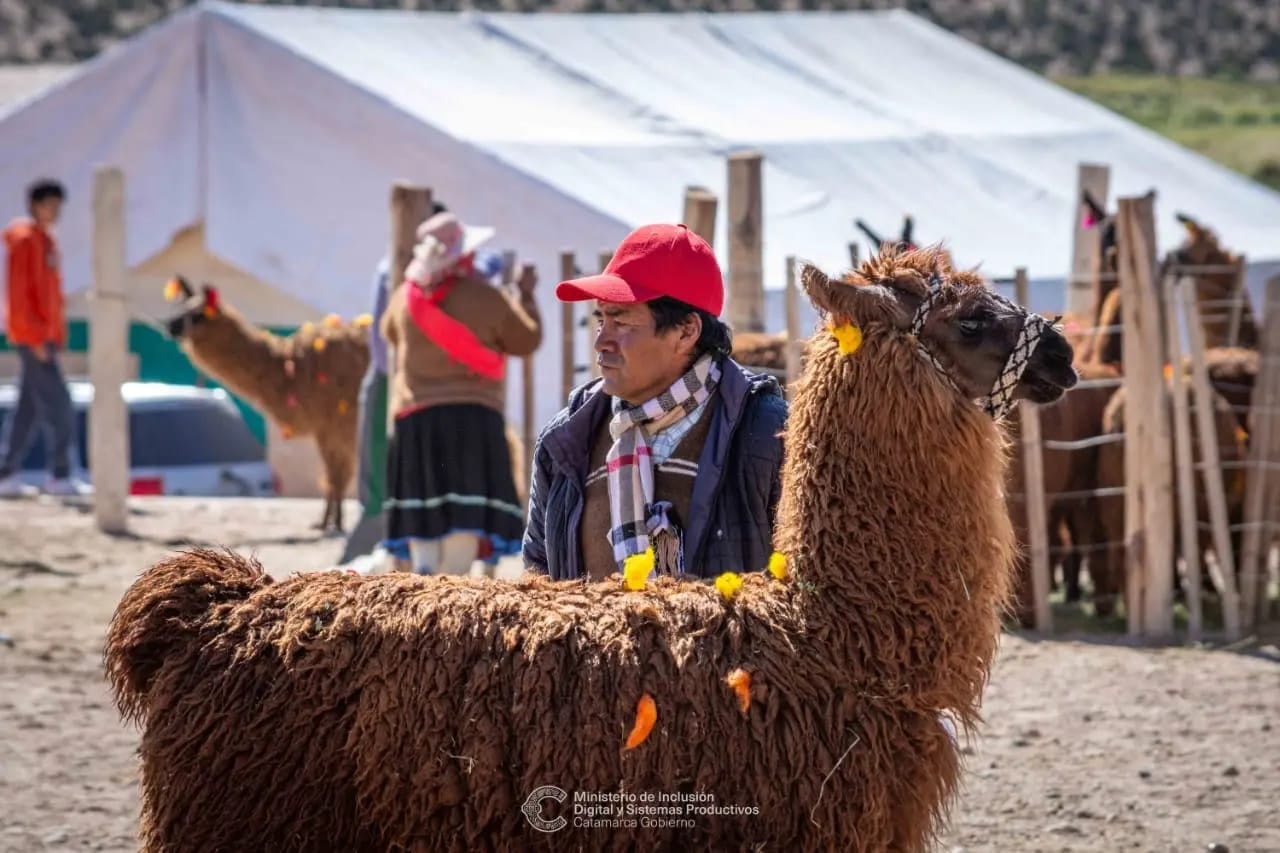 Un orgulloso dueño junto a su animal ganador.