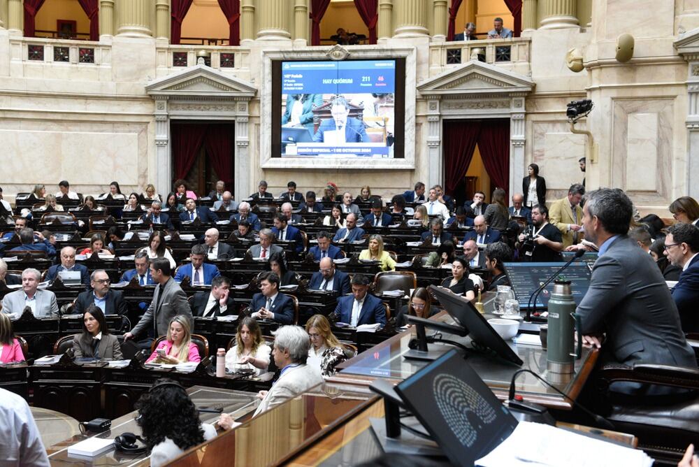 La boleta única recibió 143 votos afirmativos, 87 negativos y 5 abstenciones (Foto: HCDN)