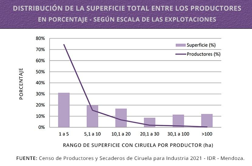 Productores