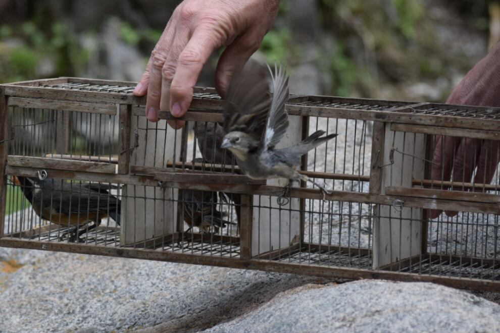 Aves liberadas en el Tatu Carreta