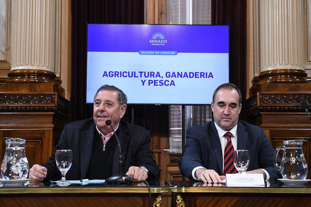 Alfredo De Angeli. Legislador entrerriano designado en la Comisión de Agricultura de Senadores