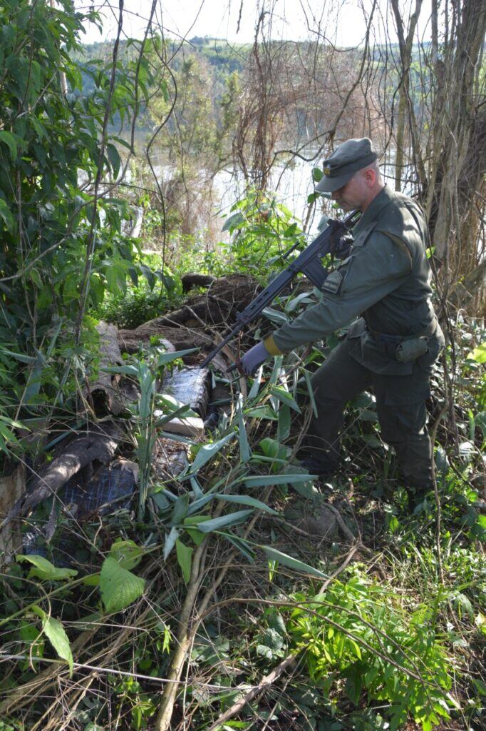 Incautan marihuana que se hallaba oculta entre malezas en Colonia Mado.