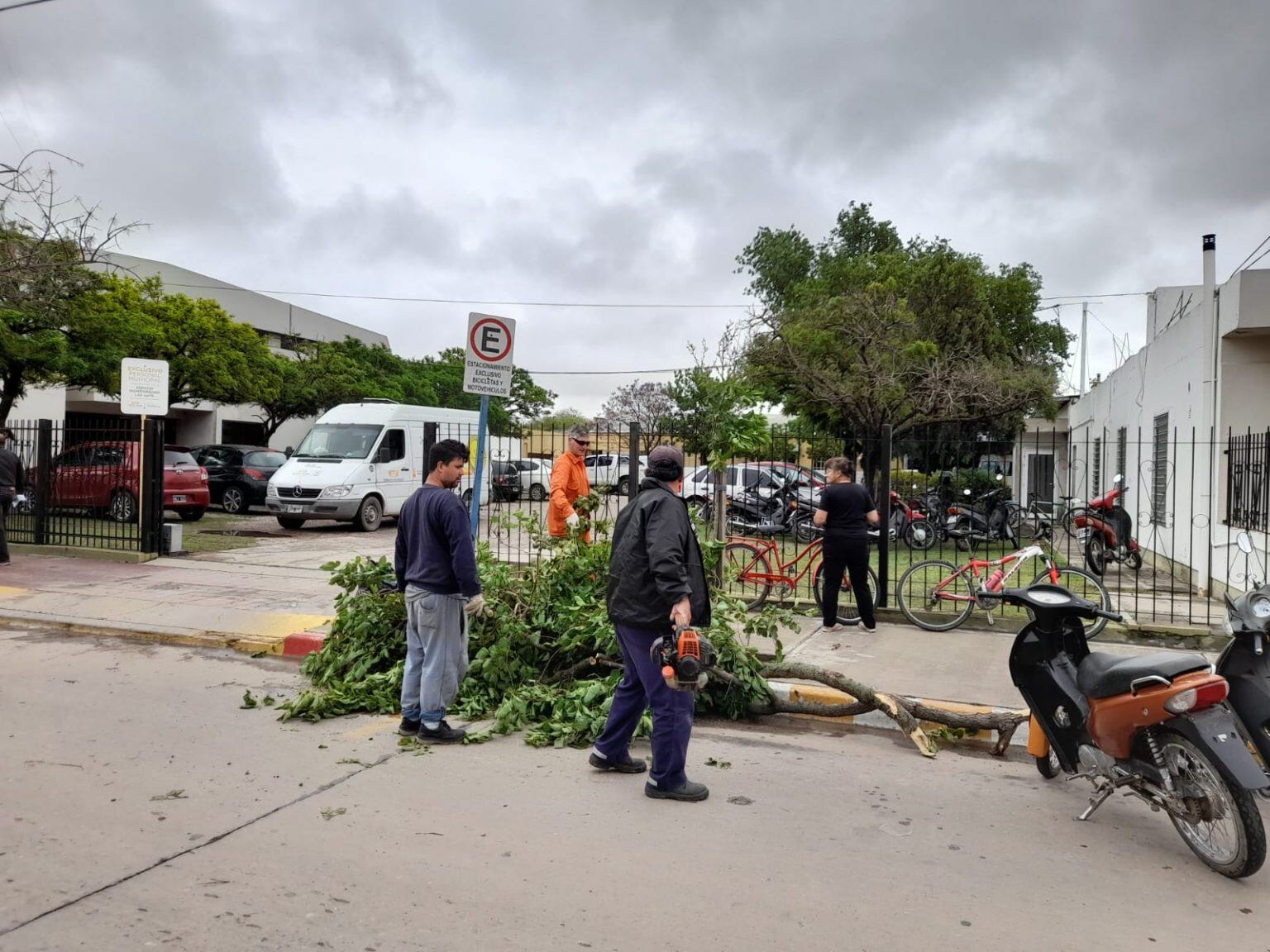 Fuertes rafagas de viento tumbaron varios árboles en Arroyito