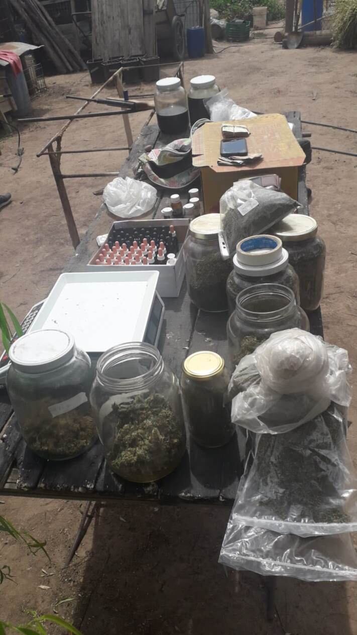 Un narco se autoabastecía de marihuana. La cultivaba en la casa.