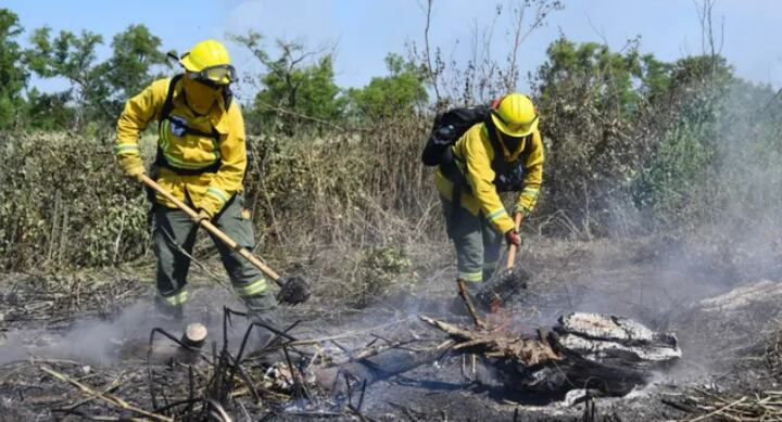 Estiman que los incendios frente a Rosario son intencionales.