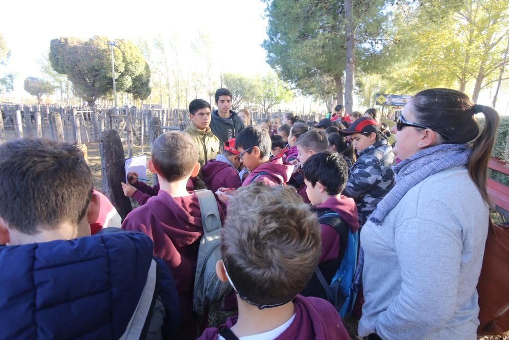 Fiesta de la Ganadería.