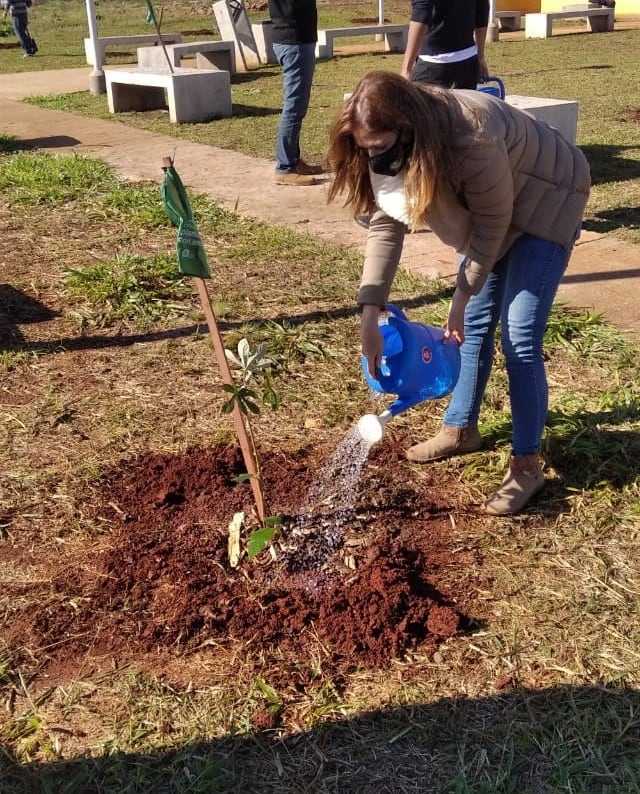 Plantaron especies de árboles nativos en Itaembé Guazú.