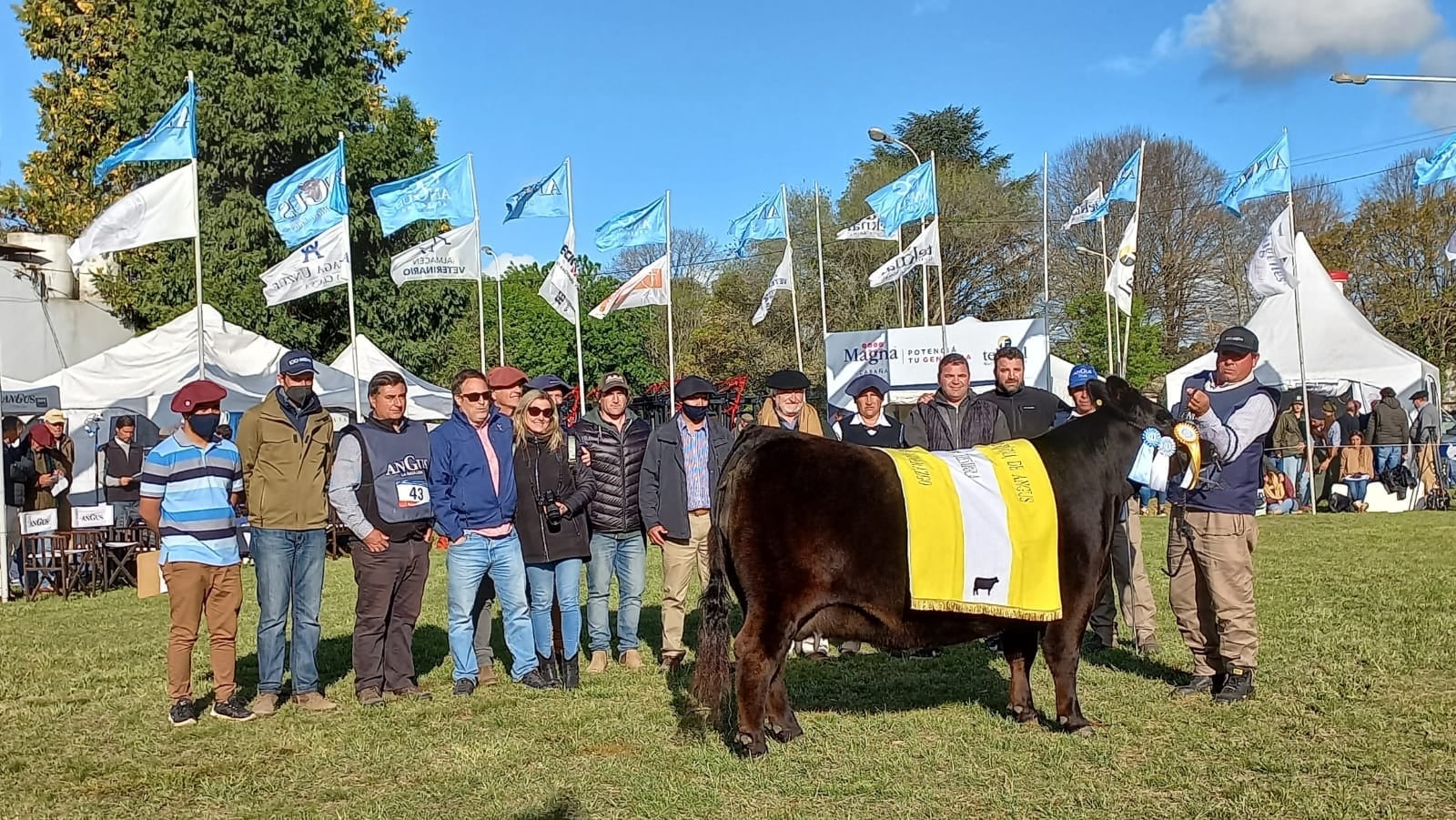 Así fue la Exposición de Angus en Tandil.